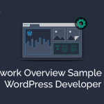 Upwork Overview Sample For WordPress Developer